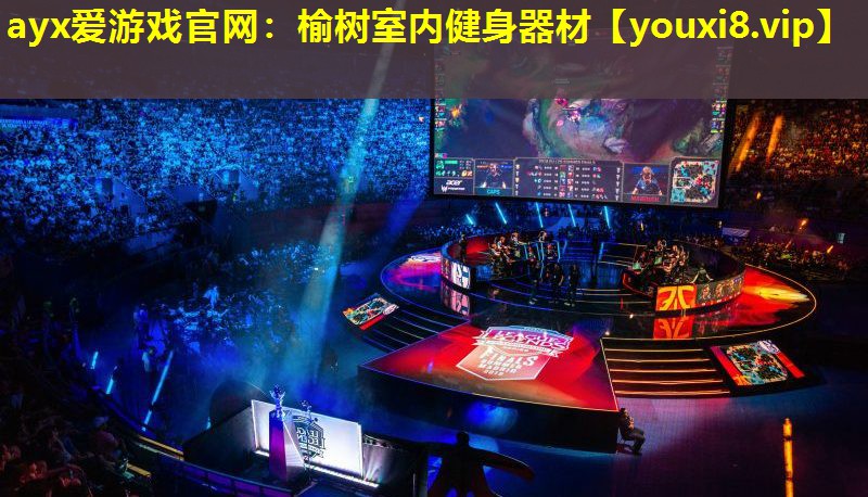 <strong>ayx爱游戏官网：榆树室内健身器材</strong>