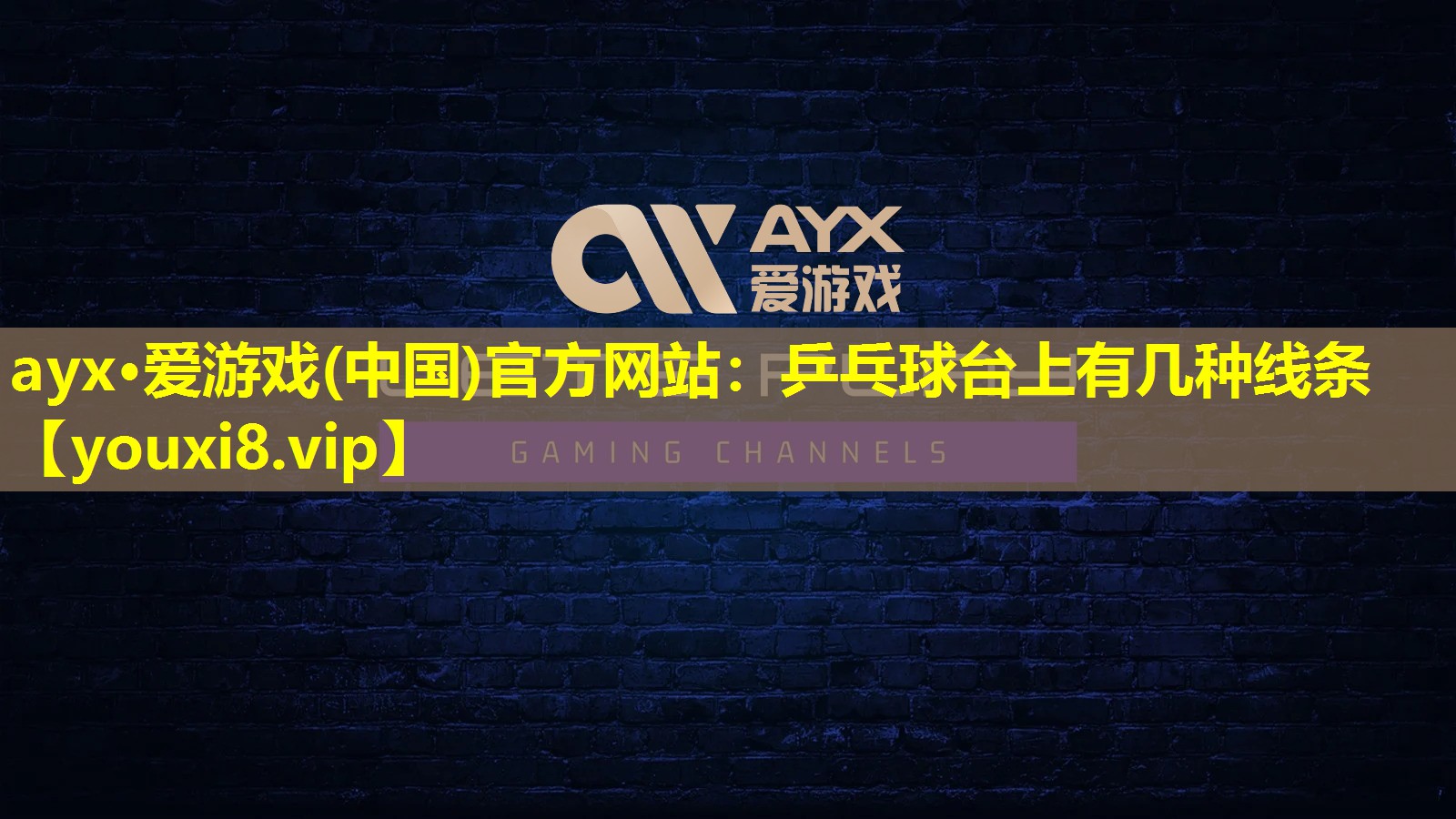 乒乓球台上有几种线条 乒乓球台上有几种线条