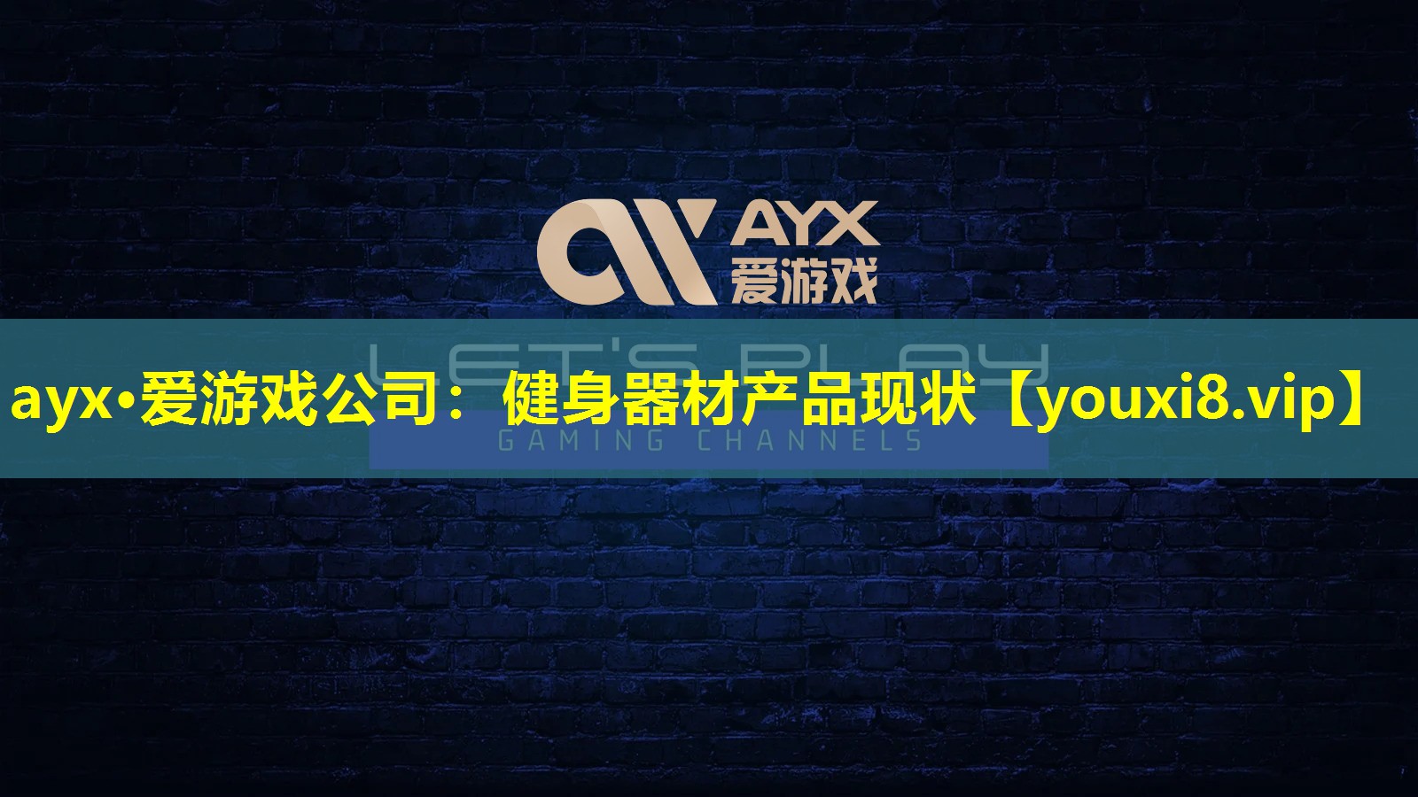 健身器材产品现状 健身器材产品现状