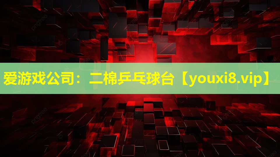 二棉乒乓球台