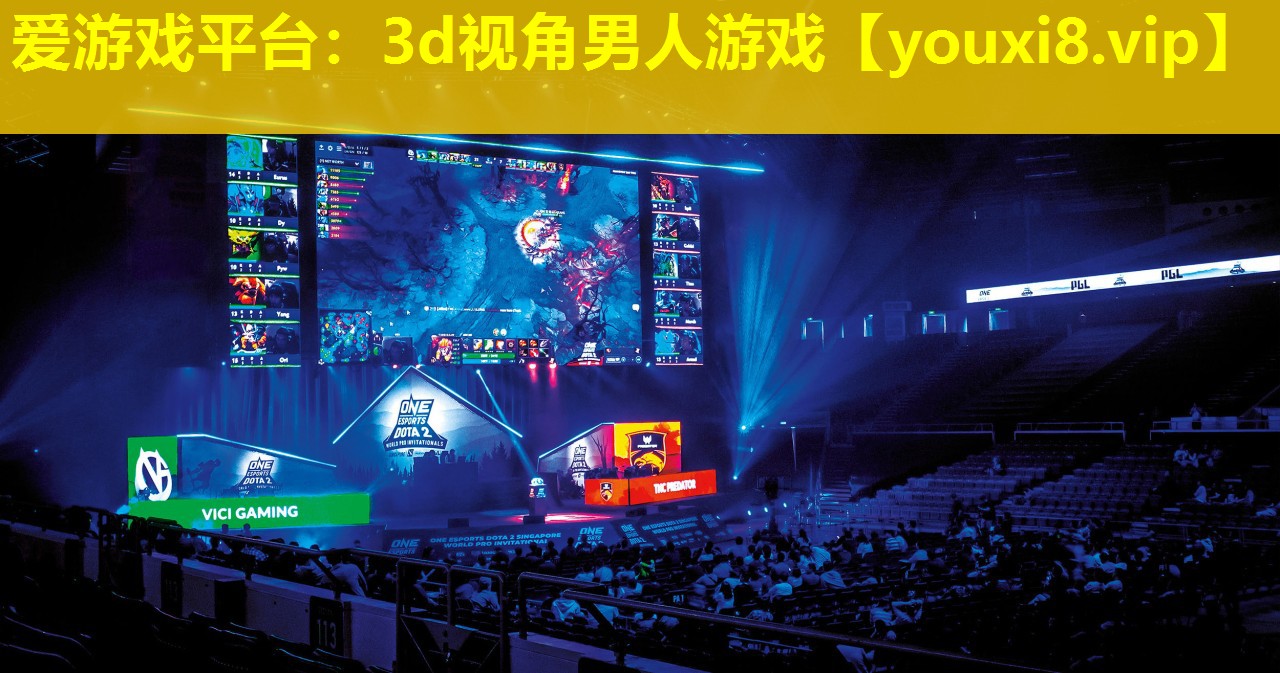 3d视角男人游戏