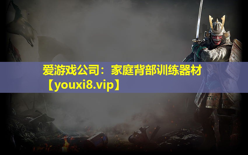 爱游戏公司：家庭背部训练器材