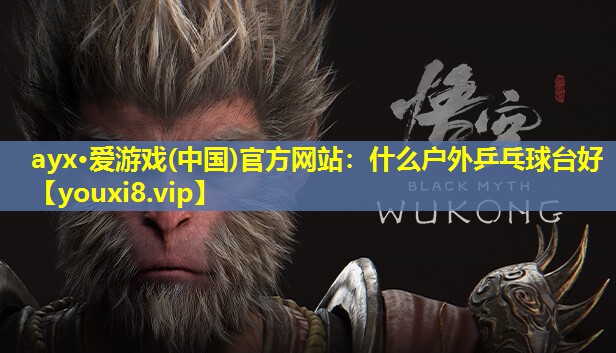 什么户外乒乓球台好 什么户外乒乓球台好